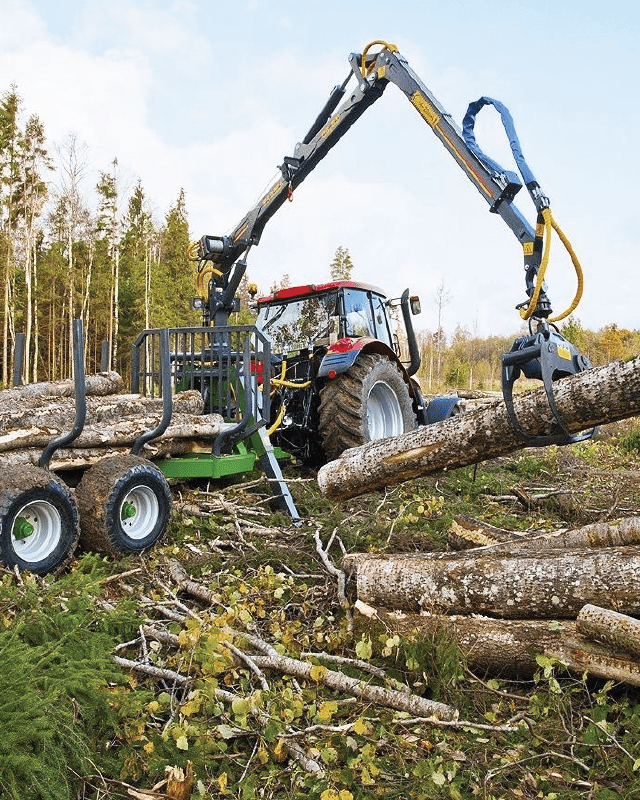 Agriculture & Forestry Forestry